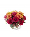 Sundance Premium Rose Bouquet Sundance Premium Rose Bouquet